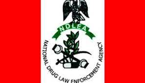 NDLEA Recruitment Portal 2023/2024 is here