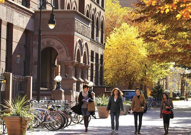 Best Art Universities in USA Best Art Universities in USA